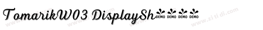 TomarikW03 DisplaySh字体转换